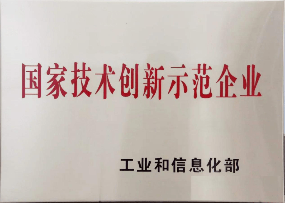 国家技术创新示范企业